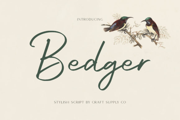 Bedger: A Handwritten Font for Elegant Design