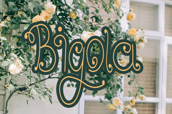 Bigola: A Graceful Handwritten Font