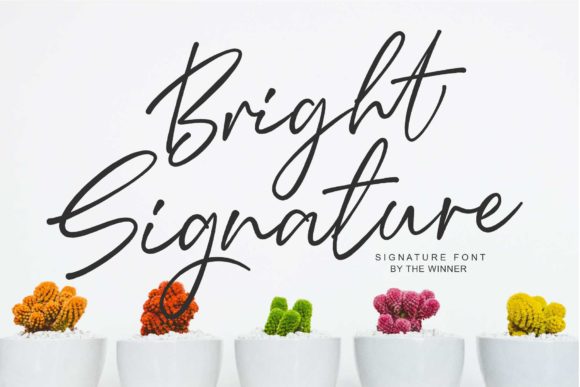 Bright Signature Font Review