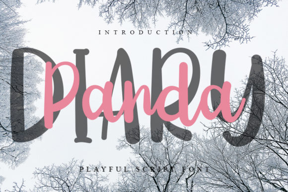 Diary Panda Review