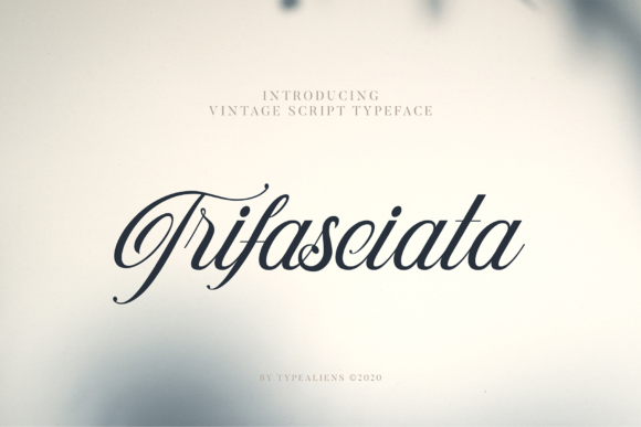 Trifasciata Font for Editorial Design